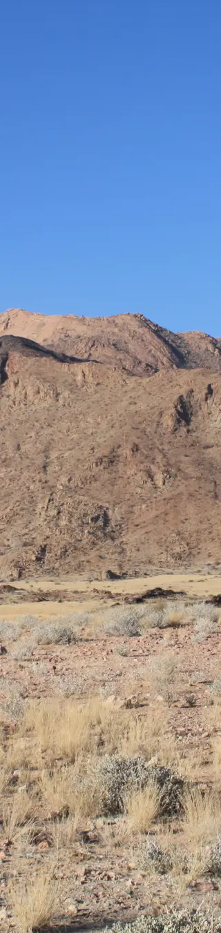 Felsmalereien aufspüren am Brandberg